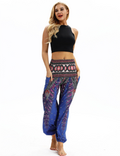 Load image into Gallery viewer, Indian Styled Loose Pants - Secret Apparel
