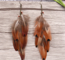 Load image into Gallery viewer, Brown Feather Earrings - Secret Apparel
