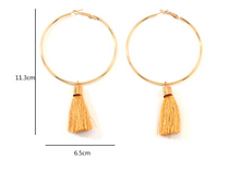 Load image into Gallery viewer, Metallic Circular Earrings - Secret Apparel
