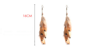 Brown Feather Earrings - Secret Apparel