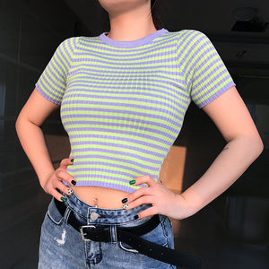 Round Neck Crop Top - Secret Apparel