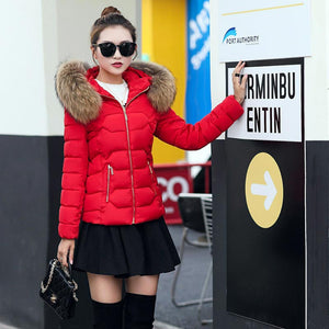 Fur Collar Cotton-Padded Short Jacket Women - Secret Apparel