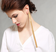 Load image into Gallery viewer, Long Tassel Earrings - Secret Apparel
