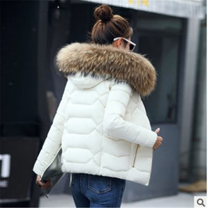 Fur Collar Cotton-Padded Short Jacket Women - Secret Apparel