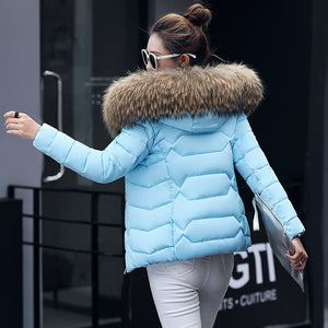 Fur Collar Cotton-Padded Short Jacket Women - Secret Apparel