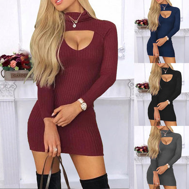 Solid Colour Turtle Neck Long Sleeves Dress - Secret Apparel