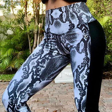 Snake Printed Sports Pants - Secret Apparel