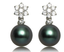 Load image into Gallery viewer, Black Pearl Earrings - Secret Apparel
