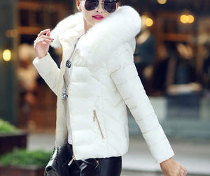 Fur Collar Cotton-Padded Short Jacket Women - Secret Apparel