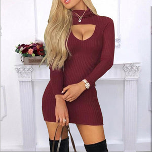 Solid Colour Turtle Neck Long Sleeves Dress - Secret Apparel