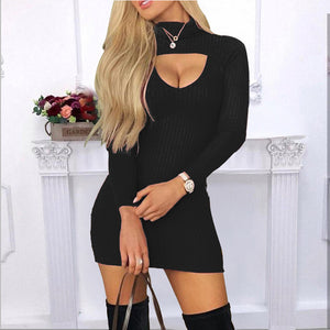 Solid Colour Turtle Neck Long Sleeves Dress - Secret Apparel