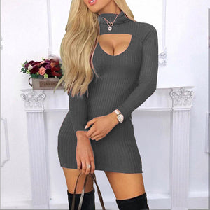 Solid Colour Turtle Neck Long Sleeves Dress - Secret Apparel