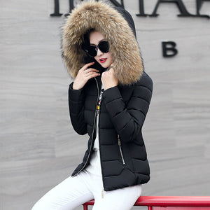 Fur Collar Cotton-Padded Short Jacket Women - Secret Apparel